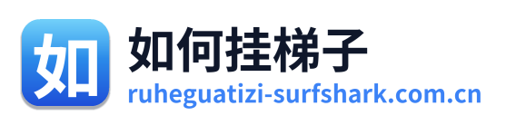 如何挂梯子 Logo